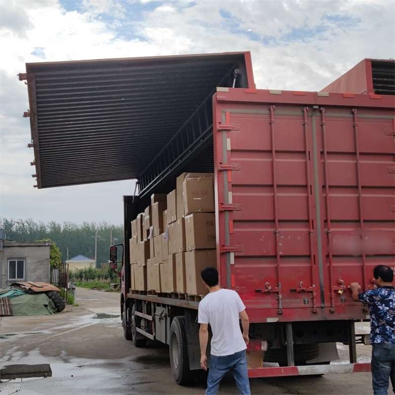 当阳市扎囊县：物流专线的高效货运之旅