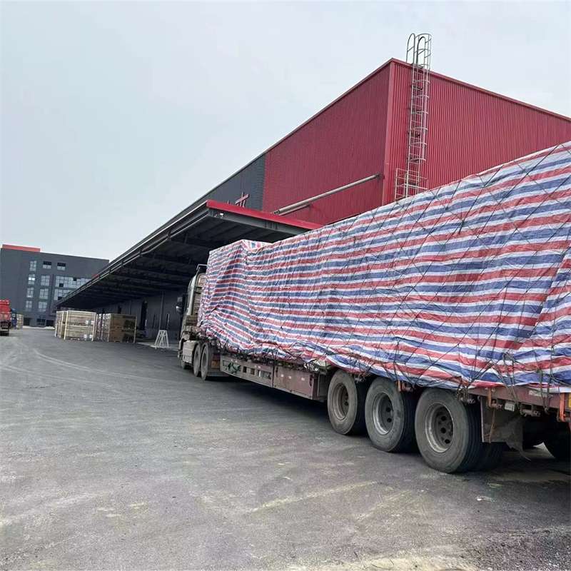 当阳市墨脱县：物流专线的多元货运服务